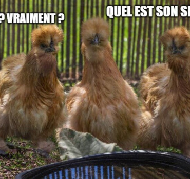 70 raisons de faire sourire Danielle