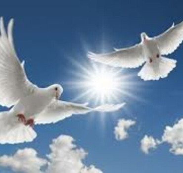 Pour la famille Falck