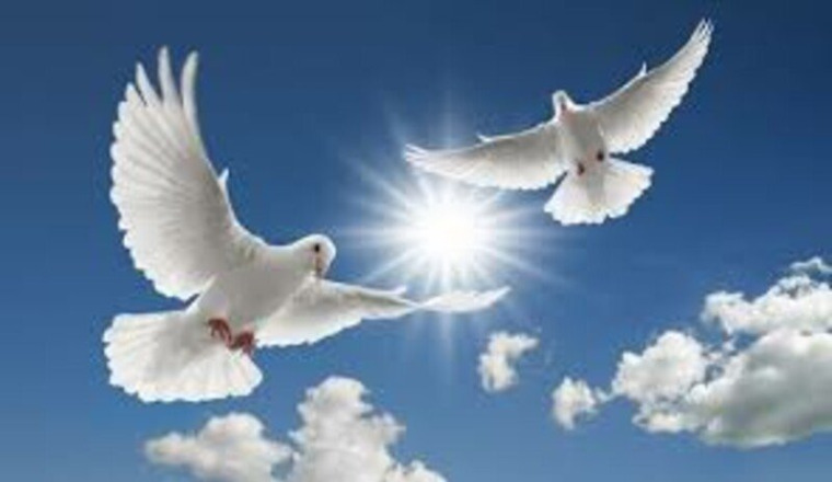 Pour la famille Falck