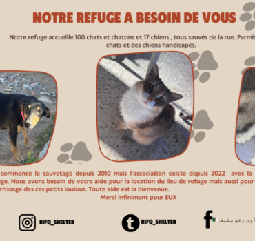 Notre refuge Rifq a besoin de vous