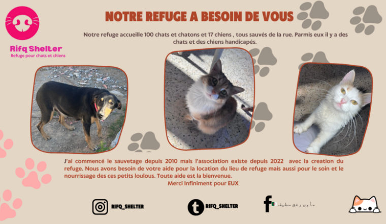 Notre refuge Rifq a besoin de vous