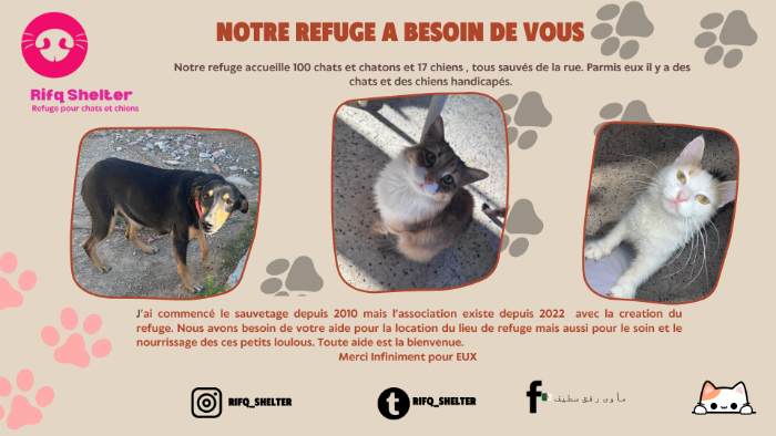 Image justificative de la cagnotte