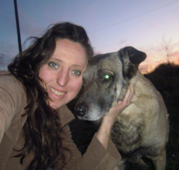 Aide pour les chiens de Roumanie