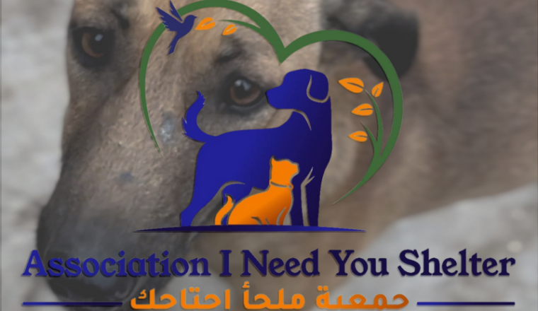 I NEED YOU SHELTER