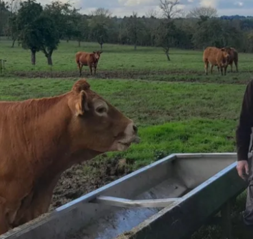 Acquisition d'une exploitation agricole
