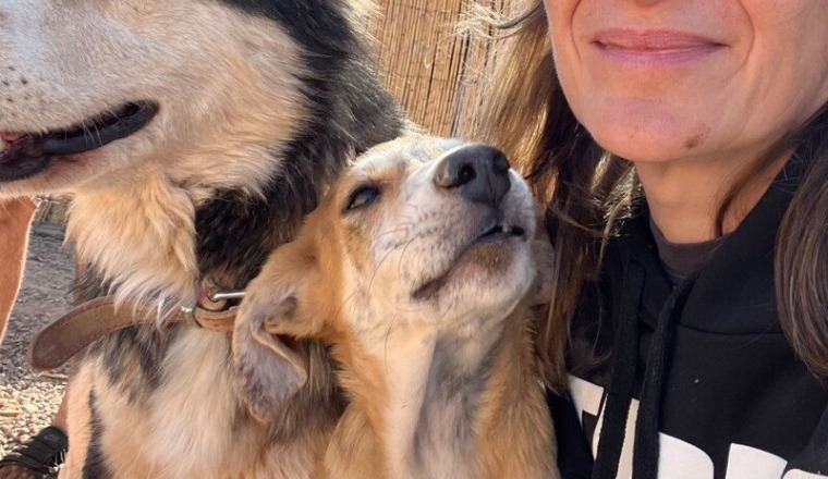 Soutien au refuge Caius & Family Moroccandogrescue