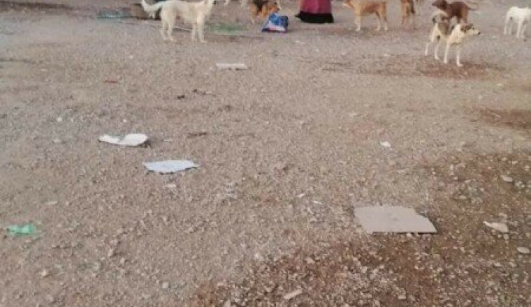 Nourriture novembre avpae maroc