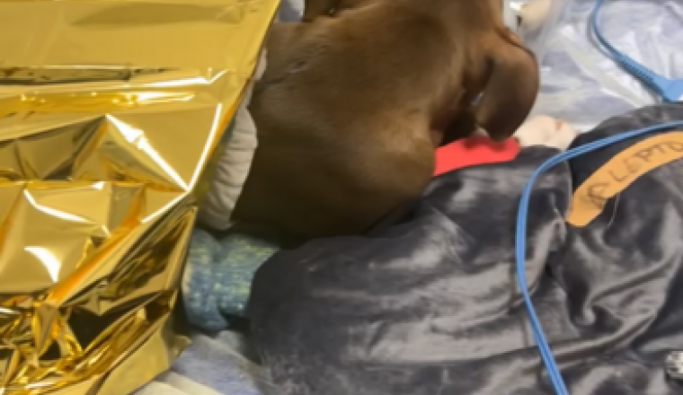 Soigner mon bébé locky de 3 mois