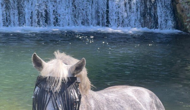 Examens pour athos