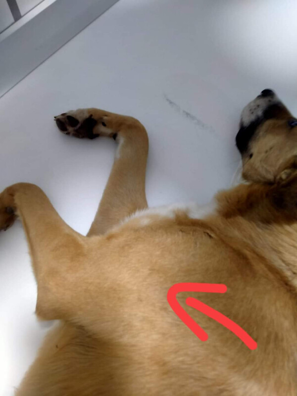 Fundraising proof image