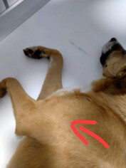 Fundraising proof image