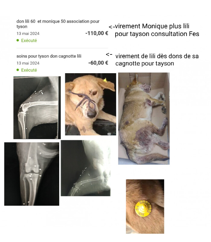 Fundraising proof image