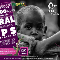 Objectif 3000 arbres au Sénégal