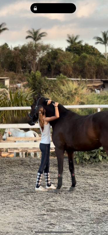 Image justificative de la cagnotte