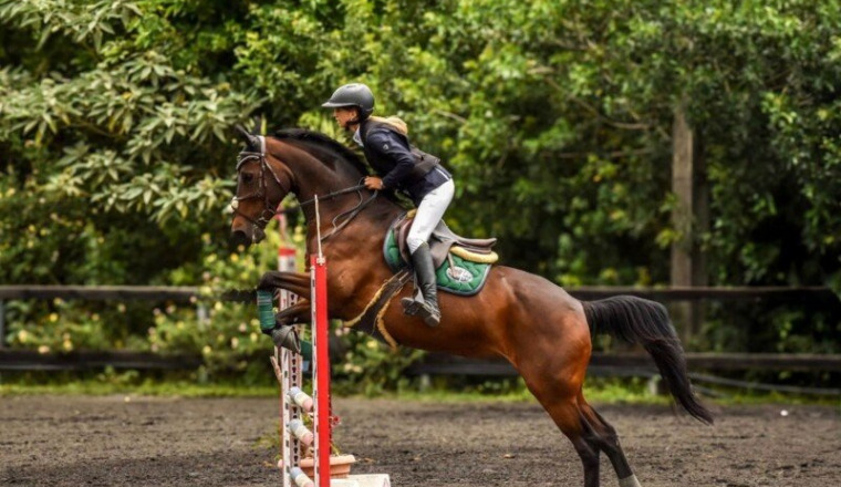 Championnat de France 2025 pour Norma