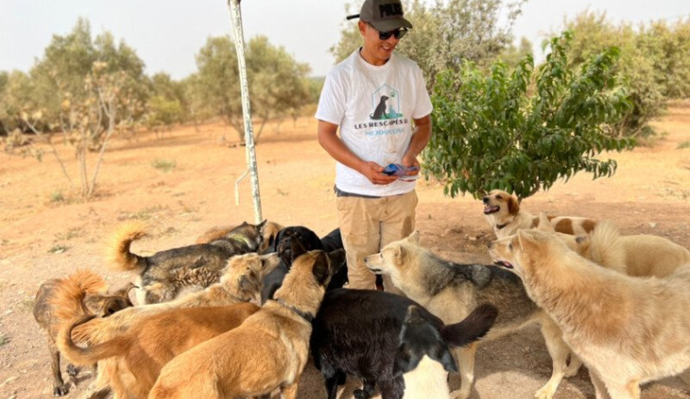 Cagnotte frais du refuge de Marwan JANVIER 2025