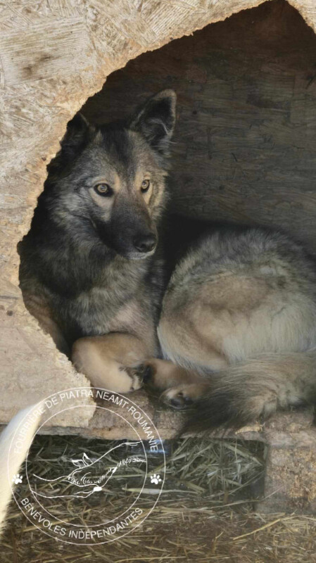 Image justificative de la cagnotte