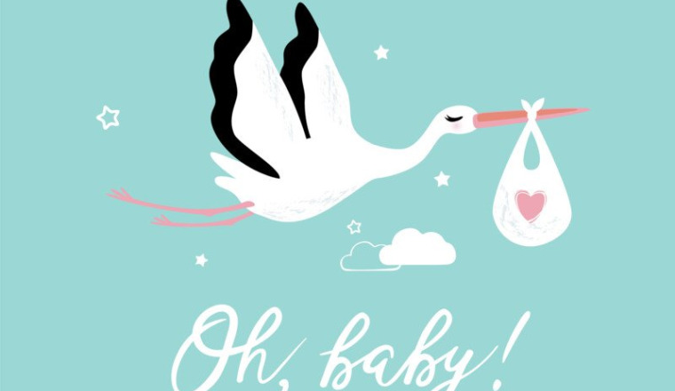 Cagnotte naissance au petit Alphonse