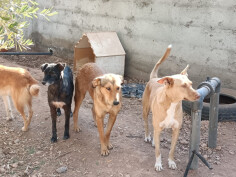Image justificative de la cagnotte