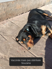 Image justificative de la cagnotte