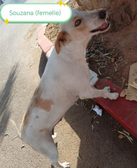 Image justificative de la cagnotte