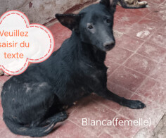 Image justificative de la cagnotte