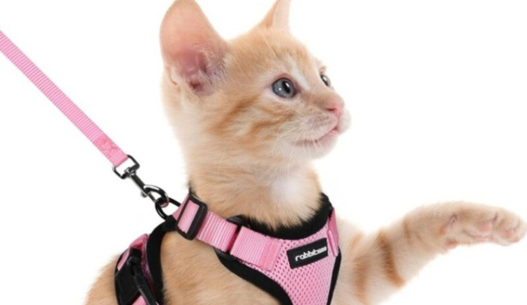 Cadeau(x) Juliette !