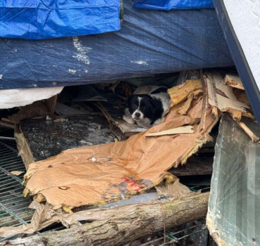 Evacuation du camp de Roms dans le 78