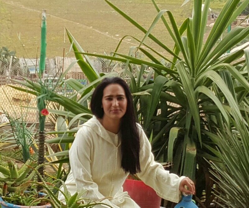 Aide pour Wafaa  et ses animaux errants à Settat
