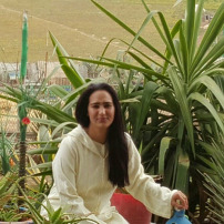 Aide pour Wafaa  et ses animaux errants à Settat
