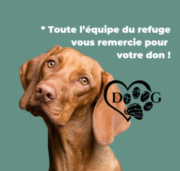 Pour l’achat des matériaux.