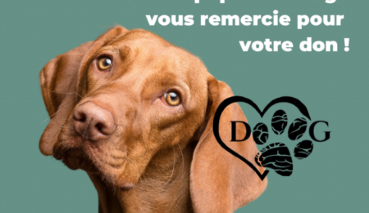 Pour l’achat des matériaux.