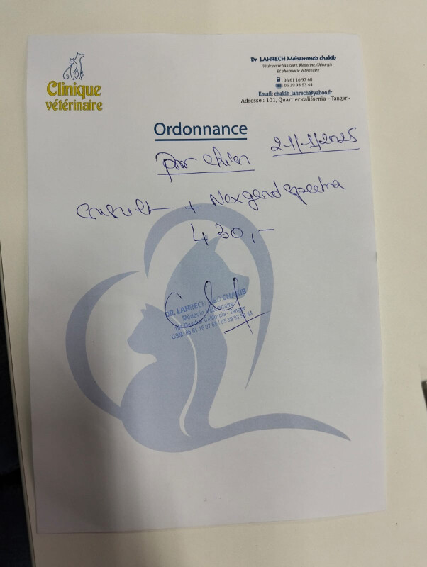 Fundraising proof image