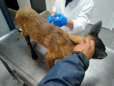 Image justificative de la cagnotte