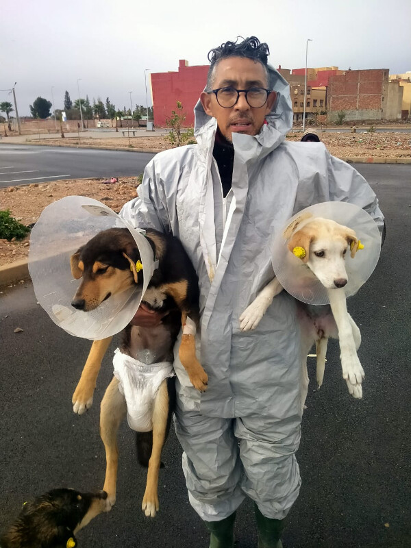 Image justificative de la cagnotte