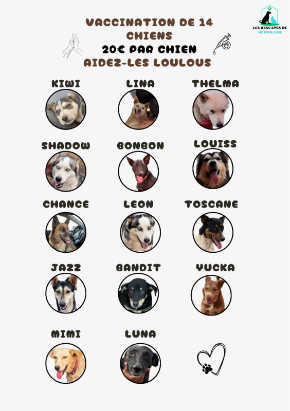 Image justificative de la cagnotte