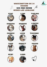 Image justificative de la cagnotte