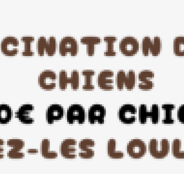 Vaccination de 14 chiens