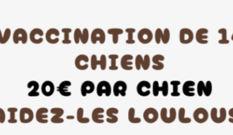 Vaccination de 14 chiens