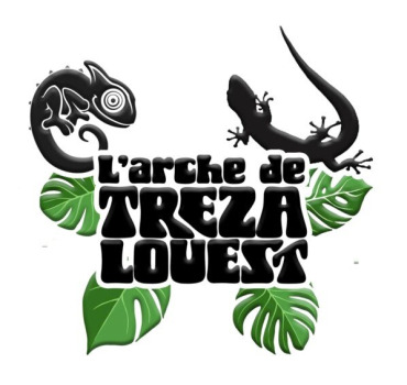 Frais association année 2025
