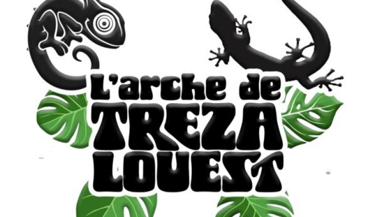 Frais association année 2025