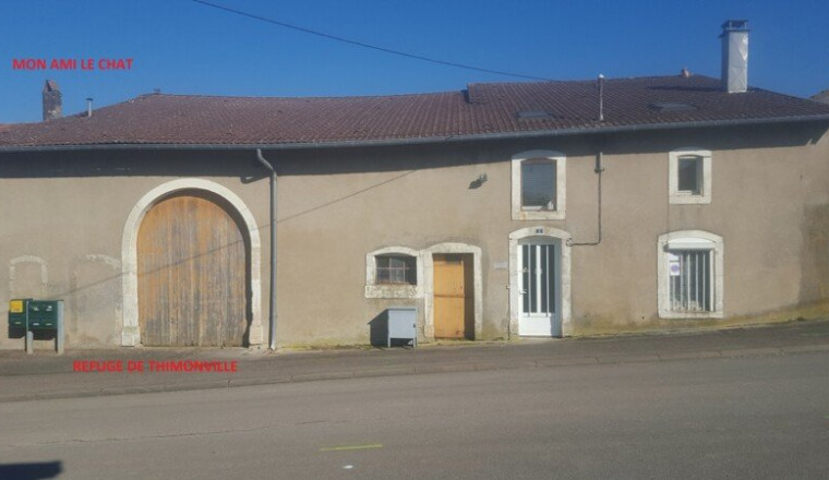 SAUVONS LE REFUGE DES CHATS SANS FAMILLE