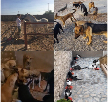 Appel à l’aide pour Emma et ses animaux