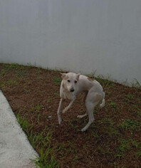 Image justificative de la cagnotte
