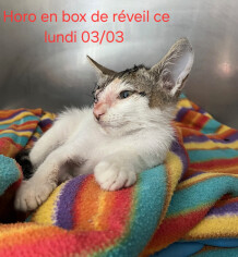 Image justificative de la cagnotte