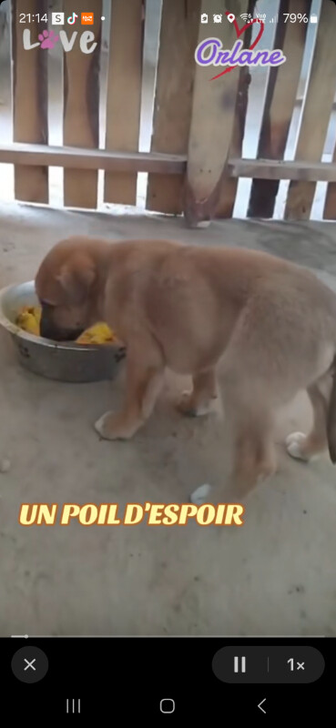 Image justificative de la cagnotte