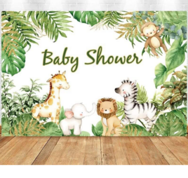 Baby Shower surprise 05/04/25