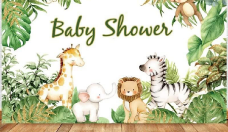 Baby Shower surprise 05/04/25