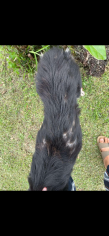 Image justificative de la cagnotte