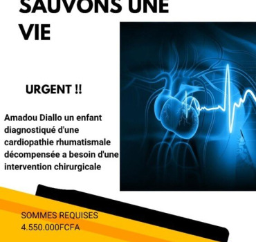 Sauvez Amadou Diallo